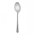 Aria Gold Rings Serving Spoon 