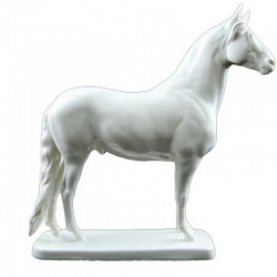 Barbary Stallion | LV Harkness & Company
