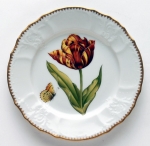 Old Master Tulips Red, Yellow and Orange Tulip Salad Plate 