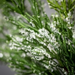 Frosted Green Cedar Wreath 23