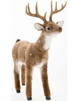 Bambi Deer 34